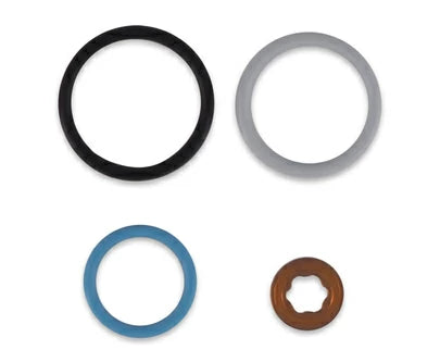 6.0 Injector Seal Kit